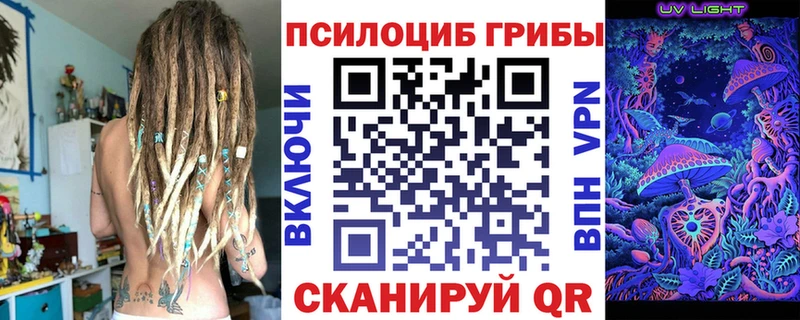 где купить наркотик  Благовещенск  Галлюциногенные грибы Magic Shrooms 