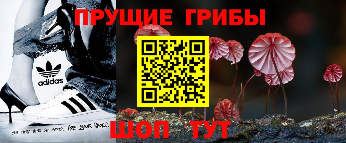 Галлюциногенные грибы MAGIC MUSHROOMS  Галлюциногенные грибы Magic Shrooms  Благовещенск  Вход с VPN 